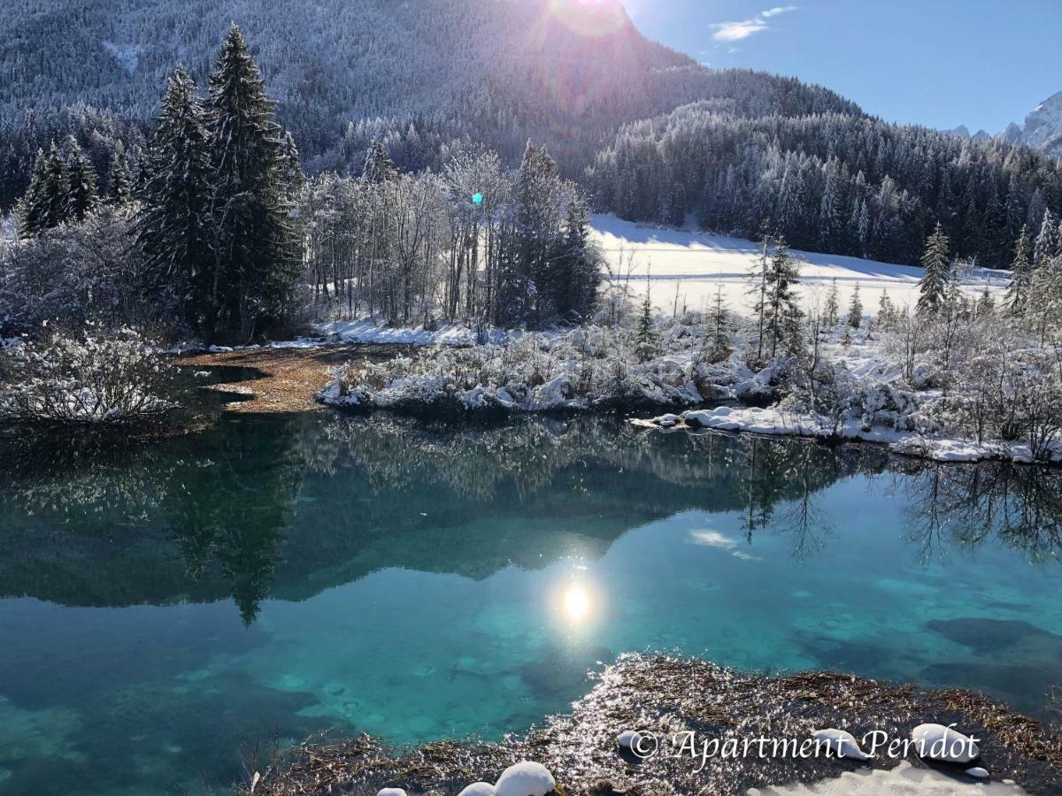 Vila Mojca Apartma Peridot - Center Kranjska Gora Exteriér fotografie