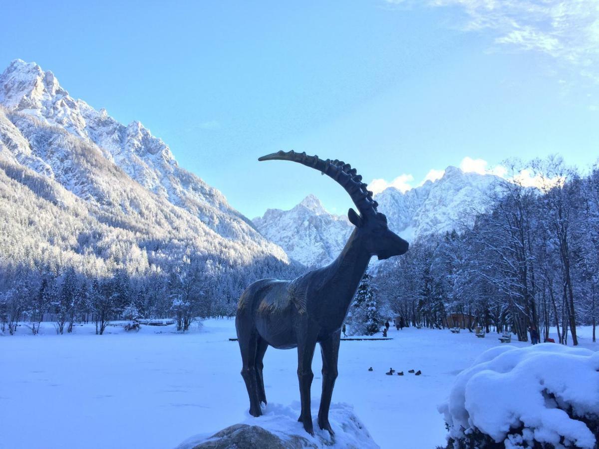 Vila Mojca Apartma Peridot - Center Kranjska Gora Exteriér fotografie