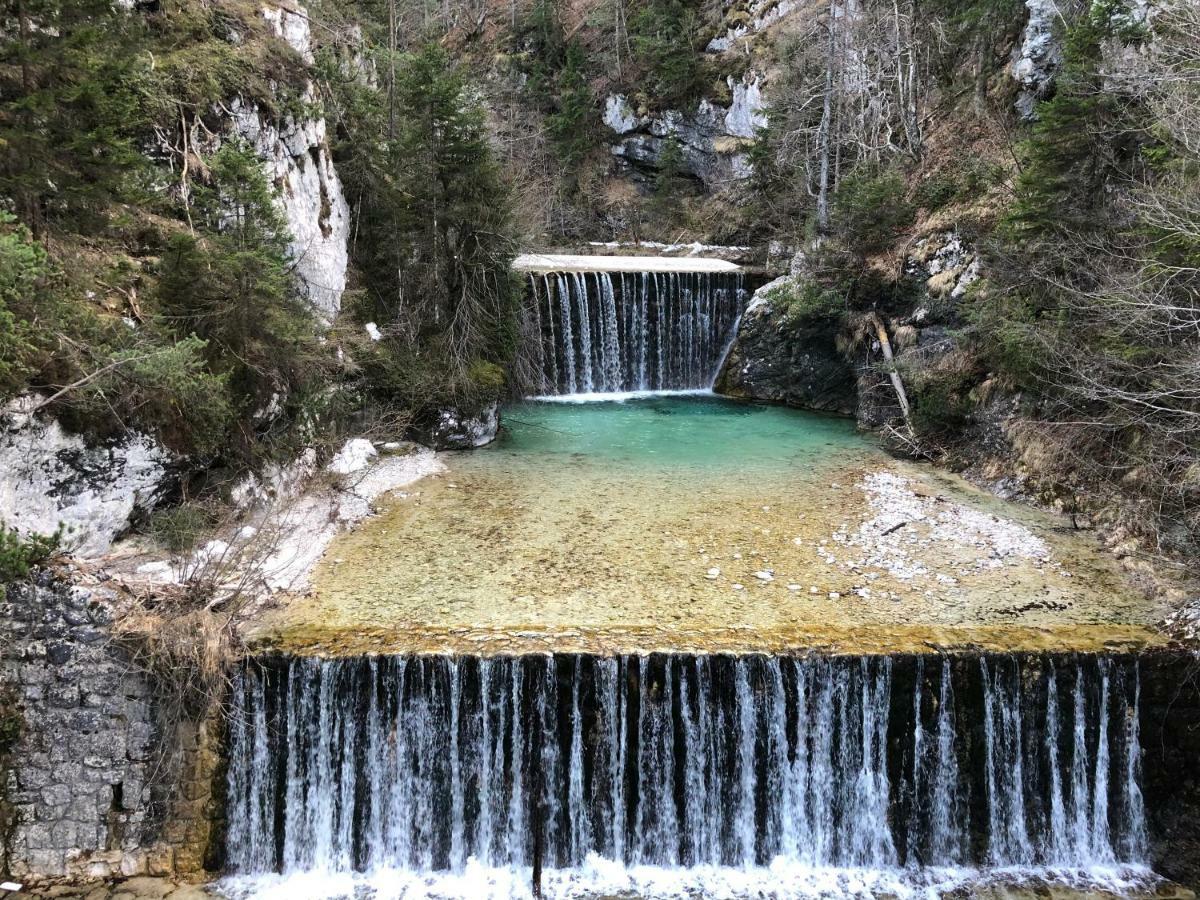 Vila Mojca Apartma Peridot - Center Kranjska Gora Exteriér fotografie