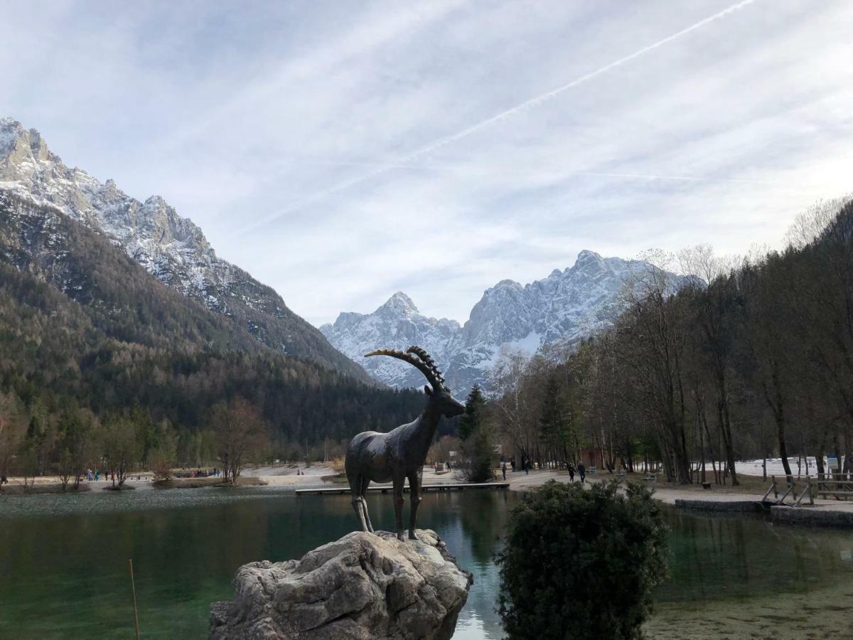 Vila Mojca Apartma Peridot - Center Kranjska Gora Exteriér fotografie