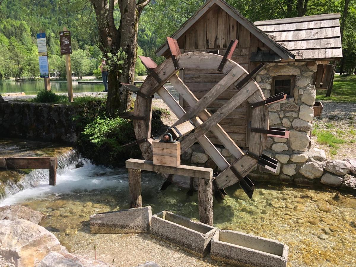 Vila Mojca Apartma Peridot - Center Kranjska Gora Exteriér fotografie