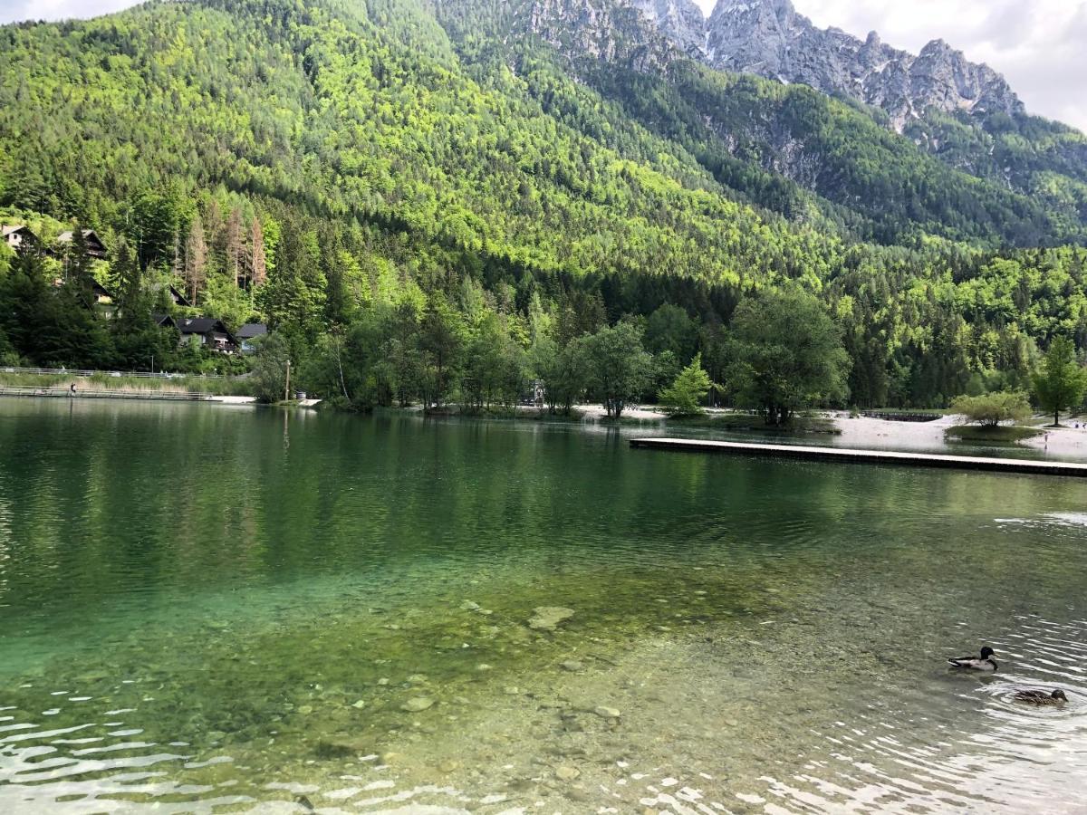 Vila Mojca Apartma Peridot - Center Kranjska Gora Exteriér fotografie