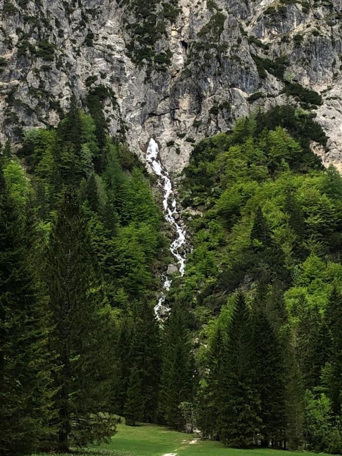 Vila Mojca Apartma Peridot - Center Kranjska Gora Exteriér fotografie